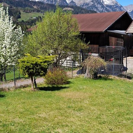 Appartement Winteraugut Werfen Bagian luar foto