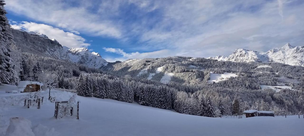 Appartement Winteraugut Werfen Bagian luar foto