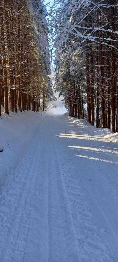 Appartement Winteraugut Werfen Bagian luar foto